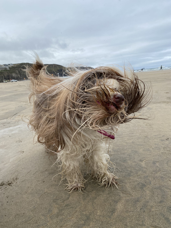 B251A81E-E890-4218-89BB-C1D72B95474F