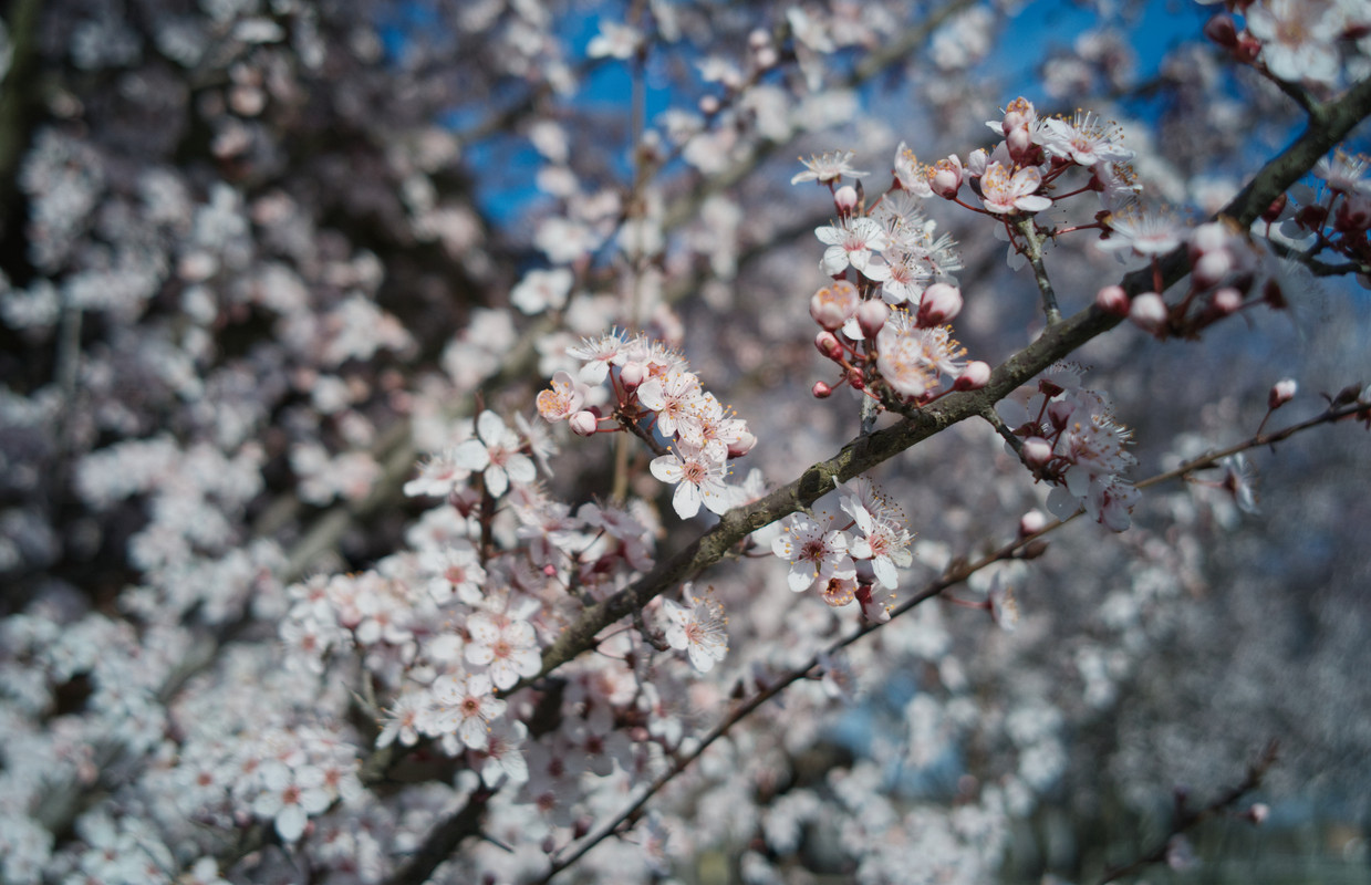 70427BC7-BF45-4DC0-B3C7-84A896C54F2F