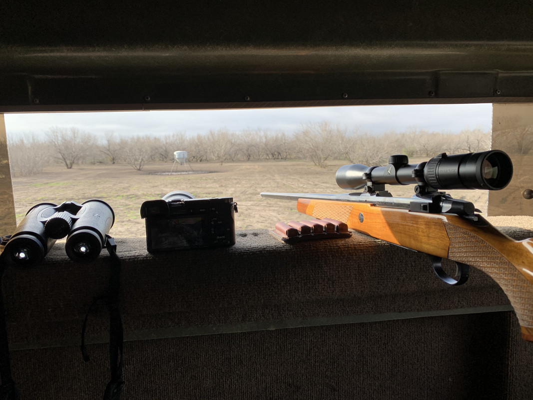 369F5C58-F188-44C2-9687-2C3B007E4484