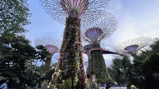 Indonesia, Singapur y Malasia 2022 - Blogs de Asia Sudeste - Día 12 y 13. Singapur (12)