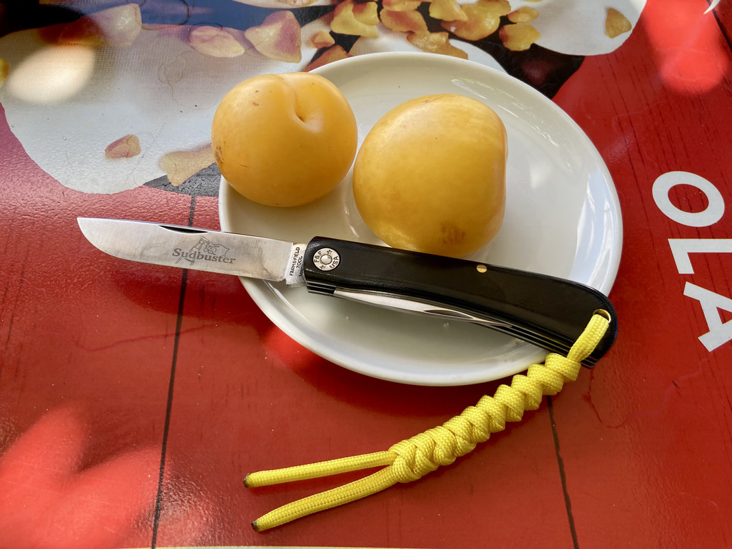 ED30FBD1-1BBC-4DC1-A884-5471C97D5022