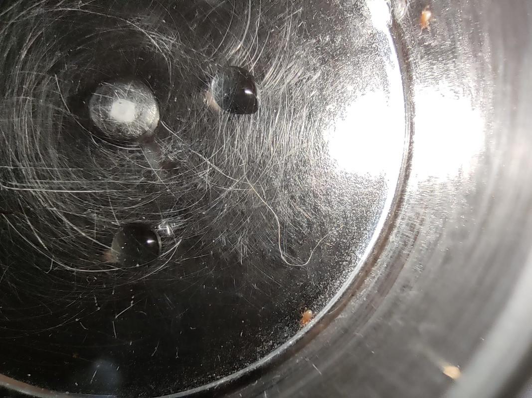 WhatsApp Image 2020-09-25 at 21.29.52(8)