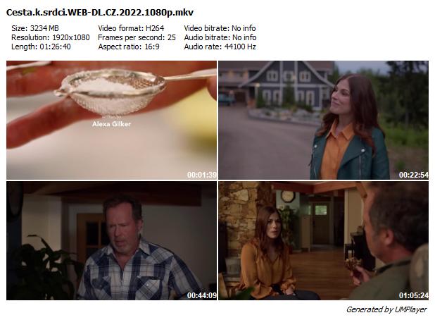 Cesta k srdci / The Way to the Heart (2022)