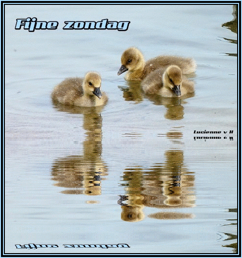 Image and video hosting by TinyPic