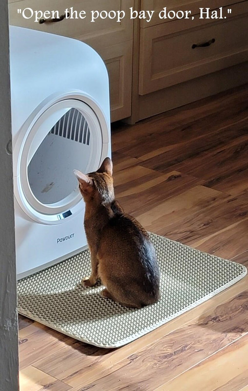 your-porcelain-throne-awaits