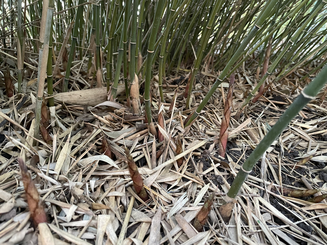 602A4F60-90B7-49AC-A72A-E27D104D3F2E