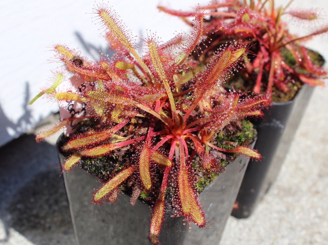 D23F5423-6DAE-43DA-8EAA-66E55E667257