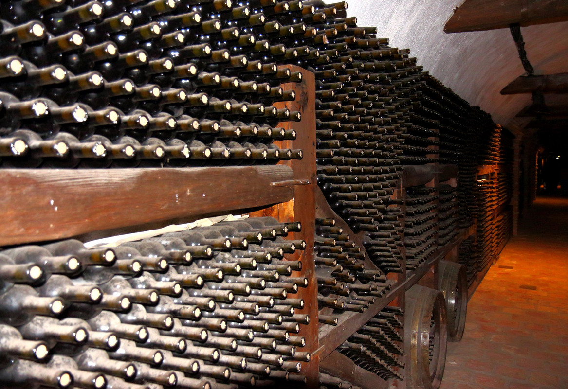 IMG_0112 (2451 x 1680)