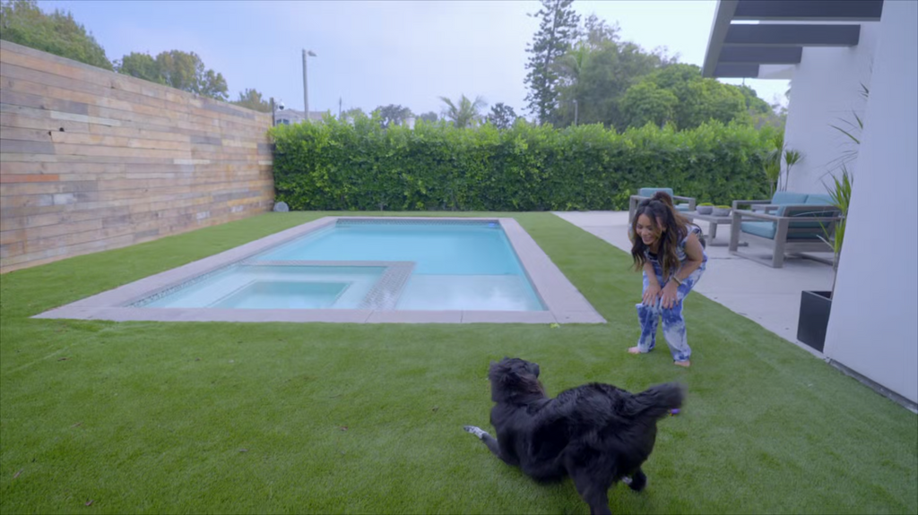 [Image: kebi997olk4g.png]