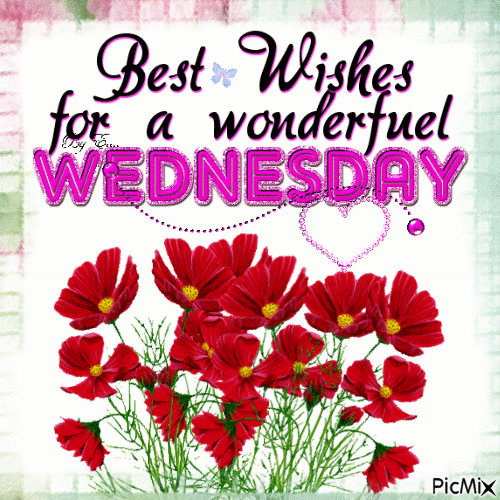 Wednesday_Poppies