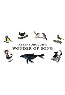 Attenboroughs-Wonder-Of-Song-2022-720p-WEBRip.jpg