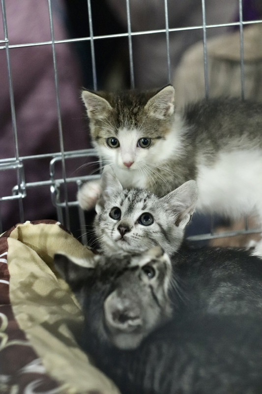 ECB21D7F-E37A-45F2-8394-C930426D9B54