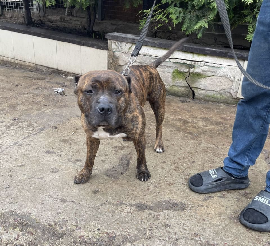 Снимок экрана 2024-04-29 в 11.02.16