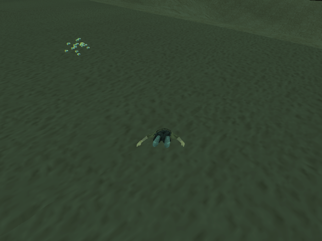 SSRP-FINDING-RED5.png