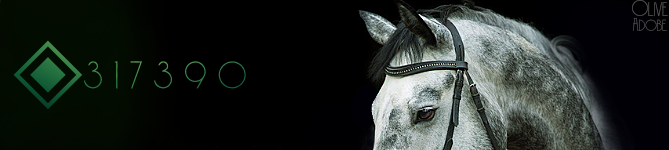 mybanner.png