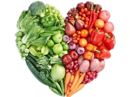 شعار الموقع