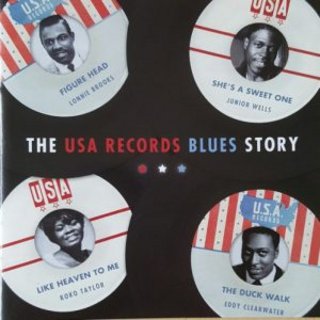 The USA Records Blues Story (2002) .Flac
