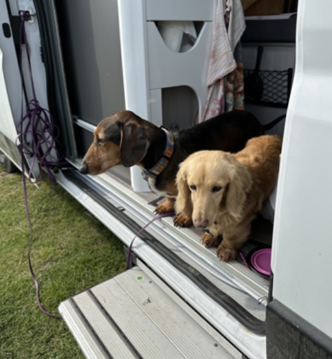 [Image: IMG-9415.jpg]