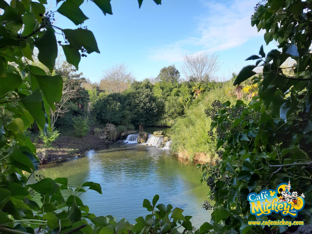 WhatsApp Image 2020-02-12 at 10.13.37 (2)