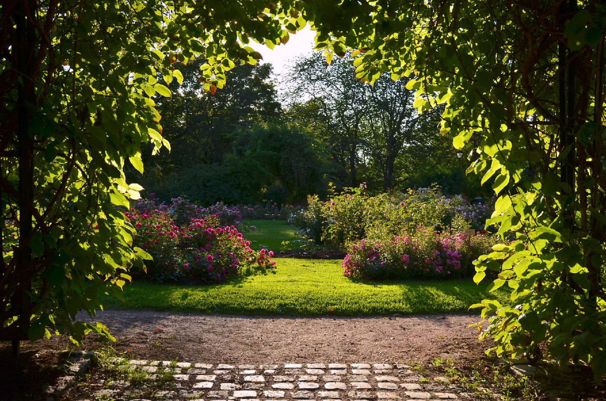 green-garden-arch.jpg