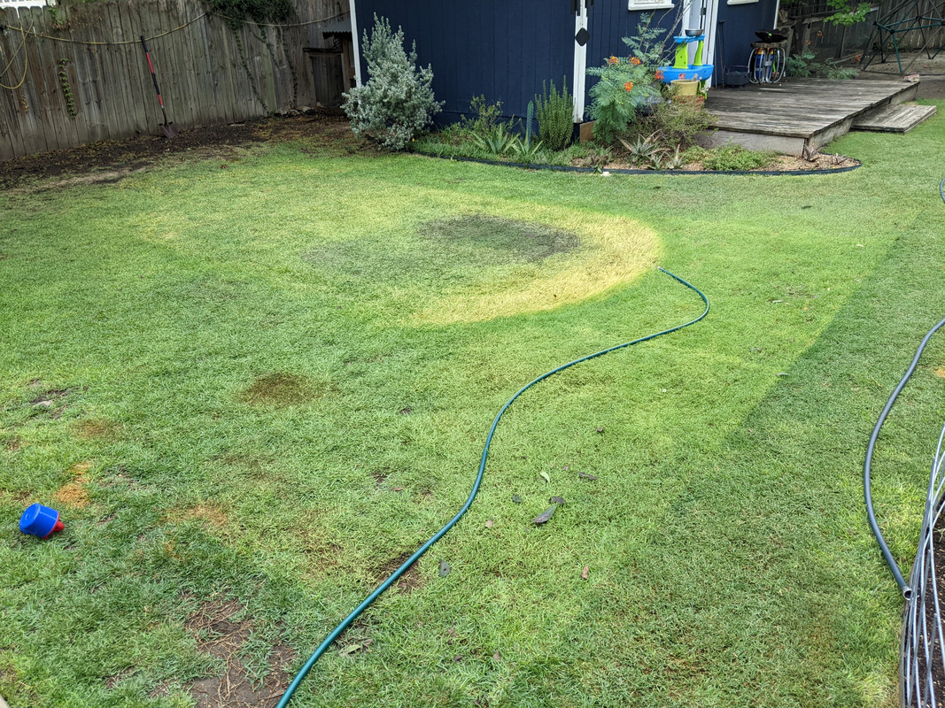 PXL_20220815_162959620.MP