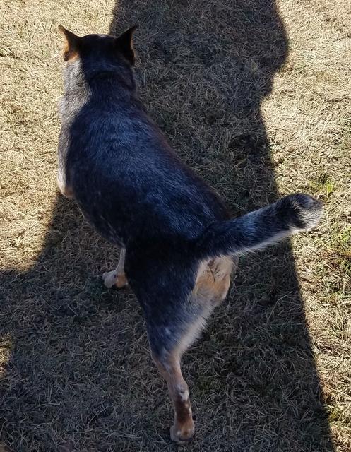 [Image: 05-Bear.jpg]