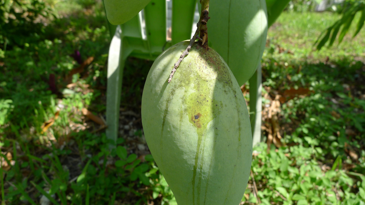 P1050031