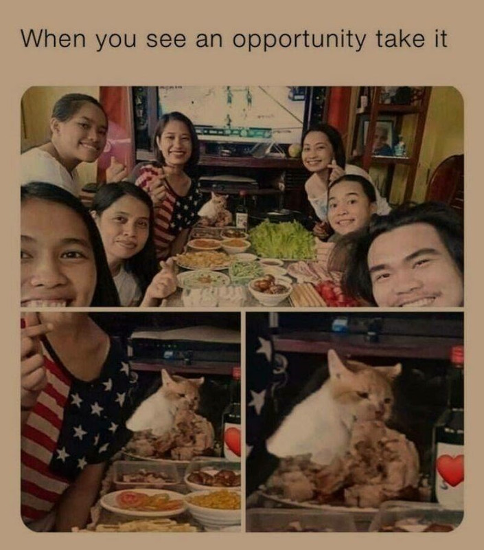 you-miss-100-of-the-opportunities-you-dont-take