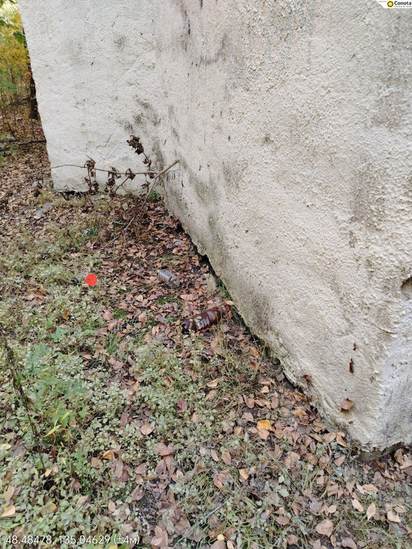 IMG_20251011_125738_122