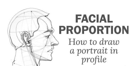 How to draw a portrait in profile