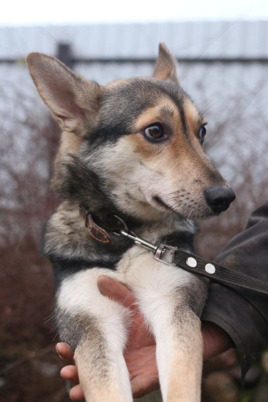 изображение_viber_2021-07-20_10-43-37-924