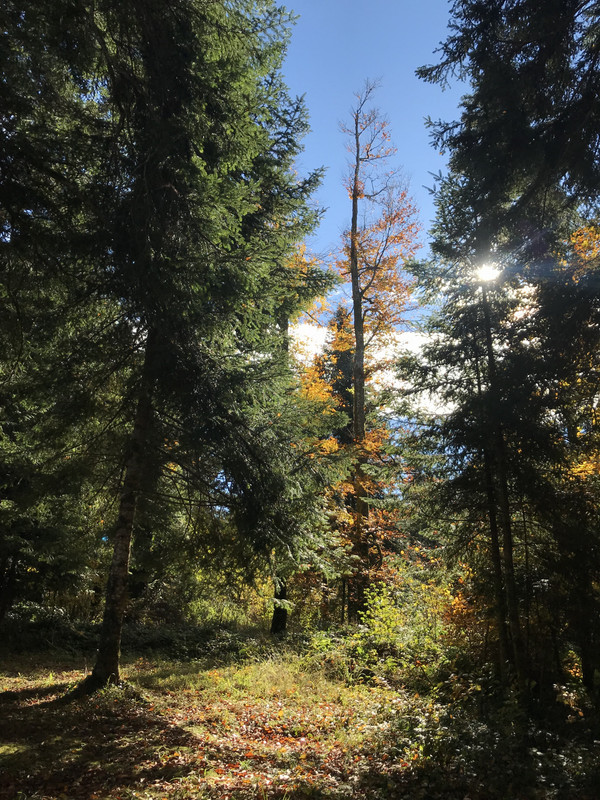 5AB540CC-01CE-4297-AF86-07BBDD9EB112