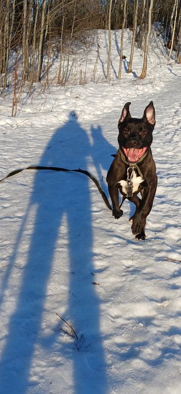 20250109_140316_resized (1)