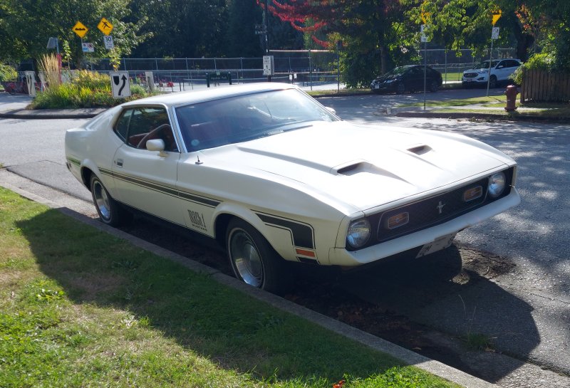 i.postimg.cc/NGpKGGq9/mustang-1.jpg