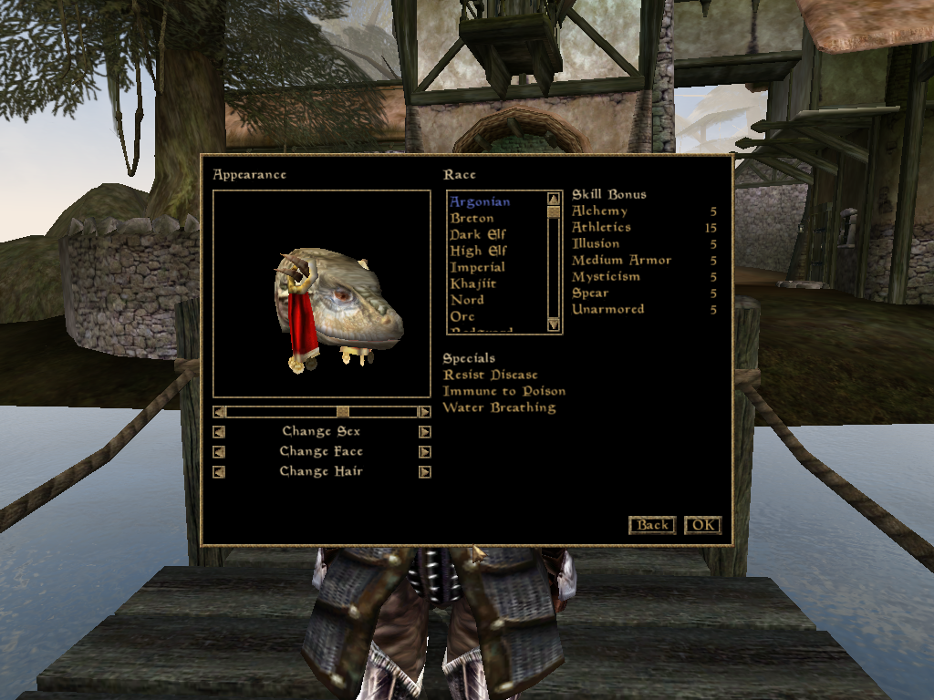 Morrowind-Screen-Shot-1.png