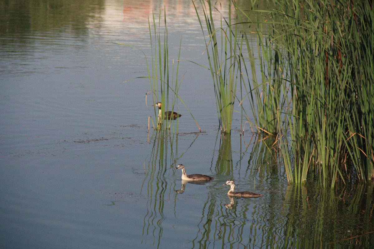 IMG_8728_обработано