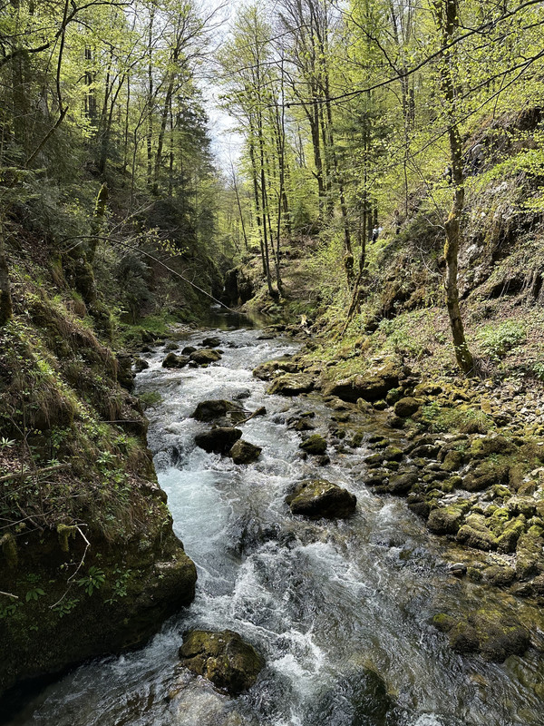 IMG_0174