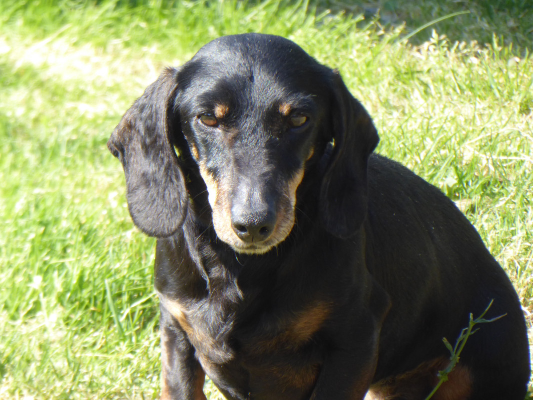 [Image: P1030066.jpg]