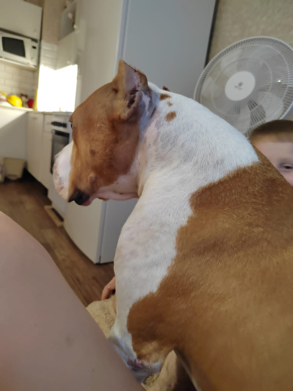 4E3B5154-8F48-4FF5-B750-F4315DCA1F57