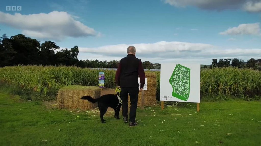 [Image: q3qvh64oc0lc.jpg]