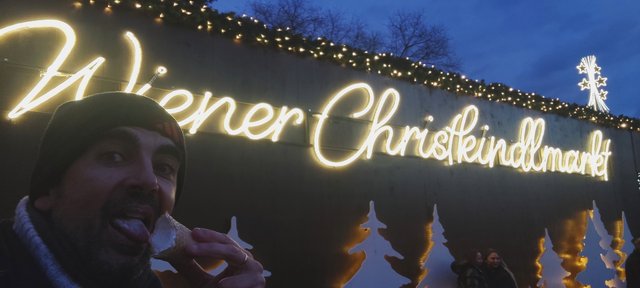 Adios Praga, hola Mercado del Ayuntamiento de Viena y concierto - Viena - Bratislava - Praga, Navidad 2024 (13)