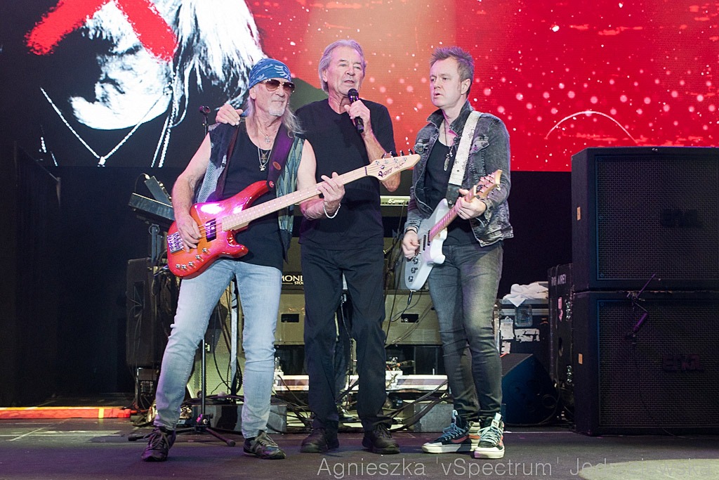 [Obrazek: v-Spectrum-Deep-Purple-5310.jpg]
