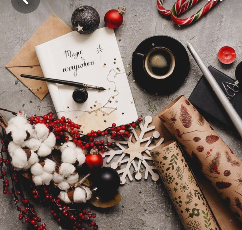 Screenshot_20230305_010809_Pinterest