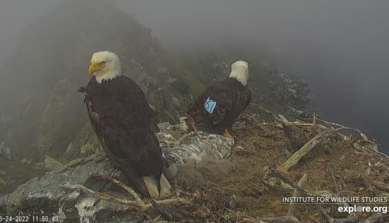 8ED27B21-AC51-40FB-A4ED-20E68A949C2D