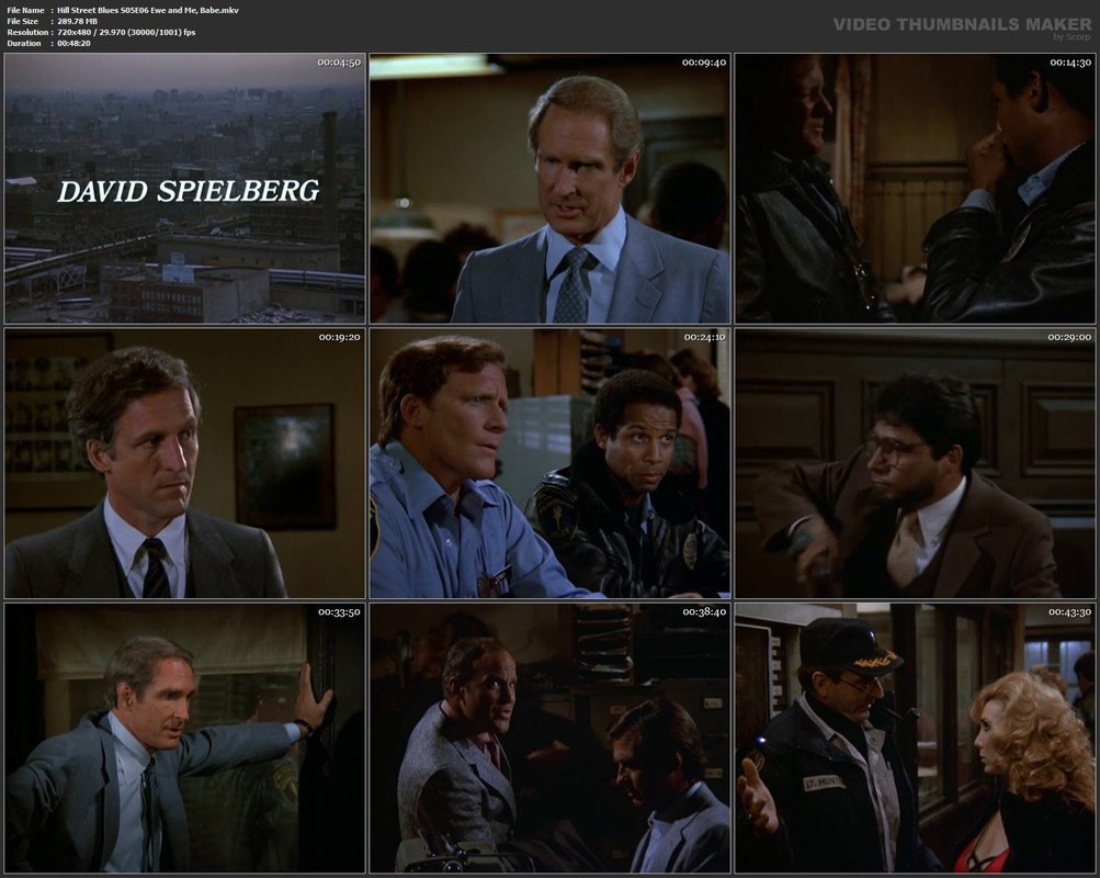 Hill Street Blues S05E06 Ewe and Me, Babe.mkv