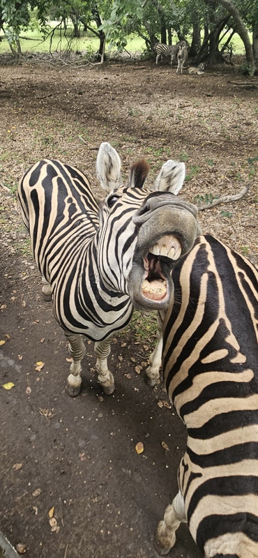 78436a49 7d66 42d2 a8d3 ad43c35cbe19