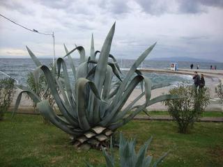 FB-IMG-1690280301699