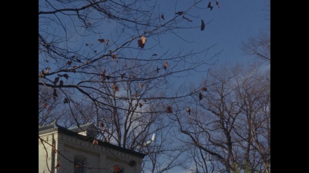 [Image: yaopx5g3km65.jpg]