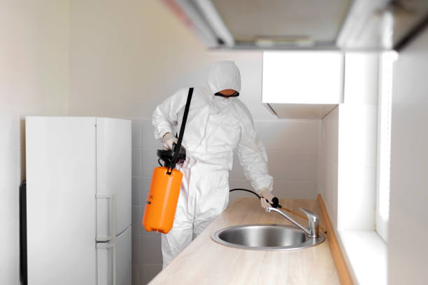 Termite Treatment Kissimmee
