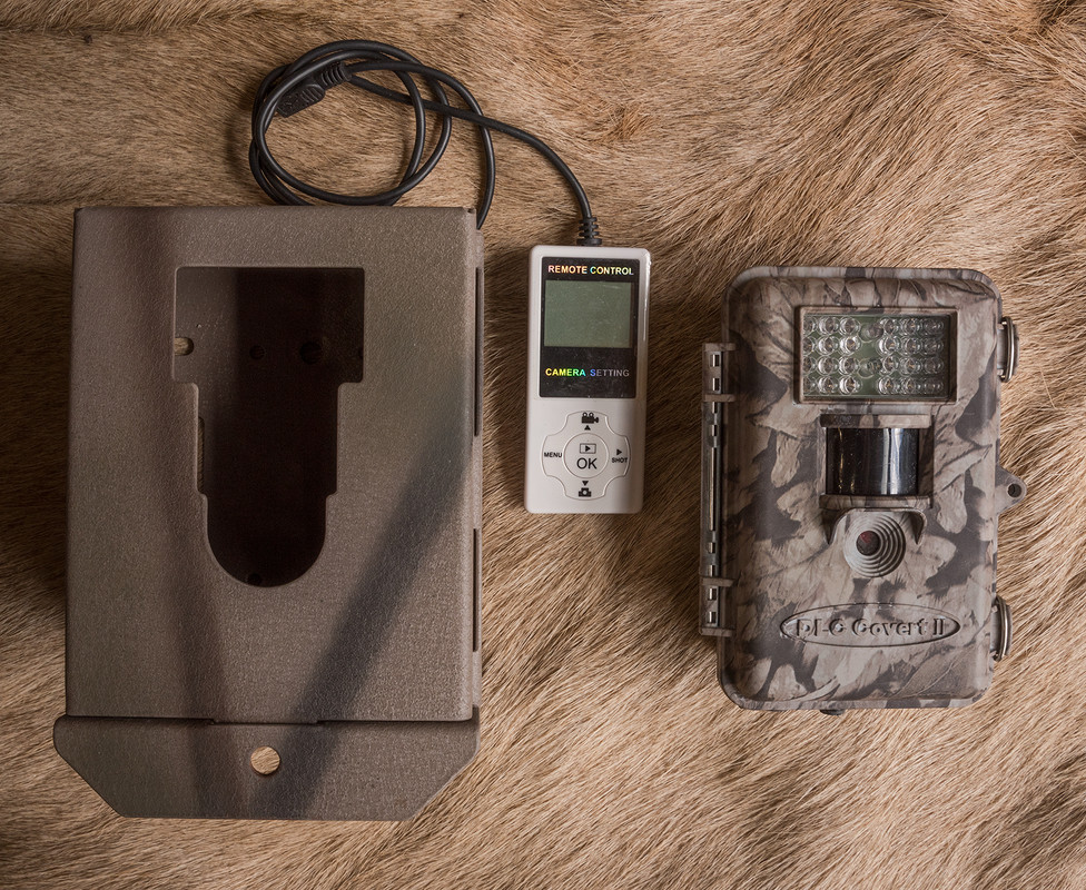 Ed1600Covertll_DSC4358